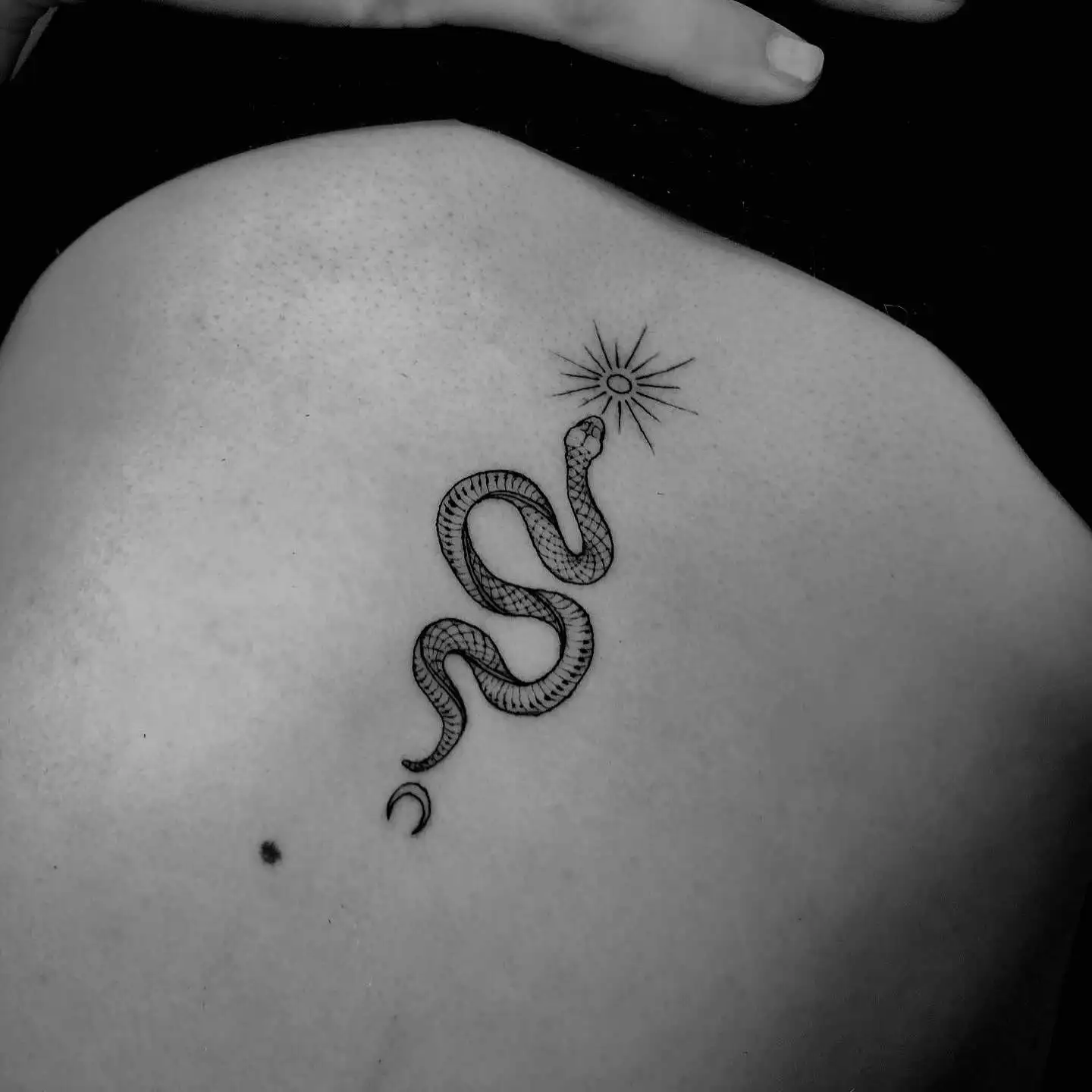 Fineline Tattoo – Ivory Tattoo Berlin