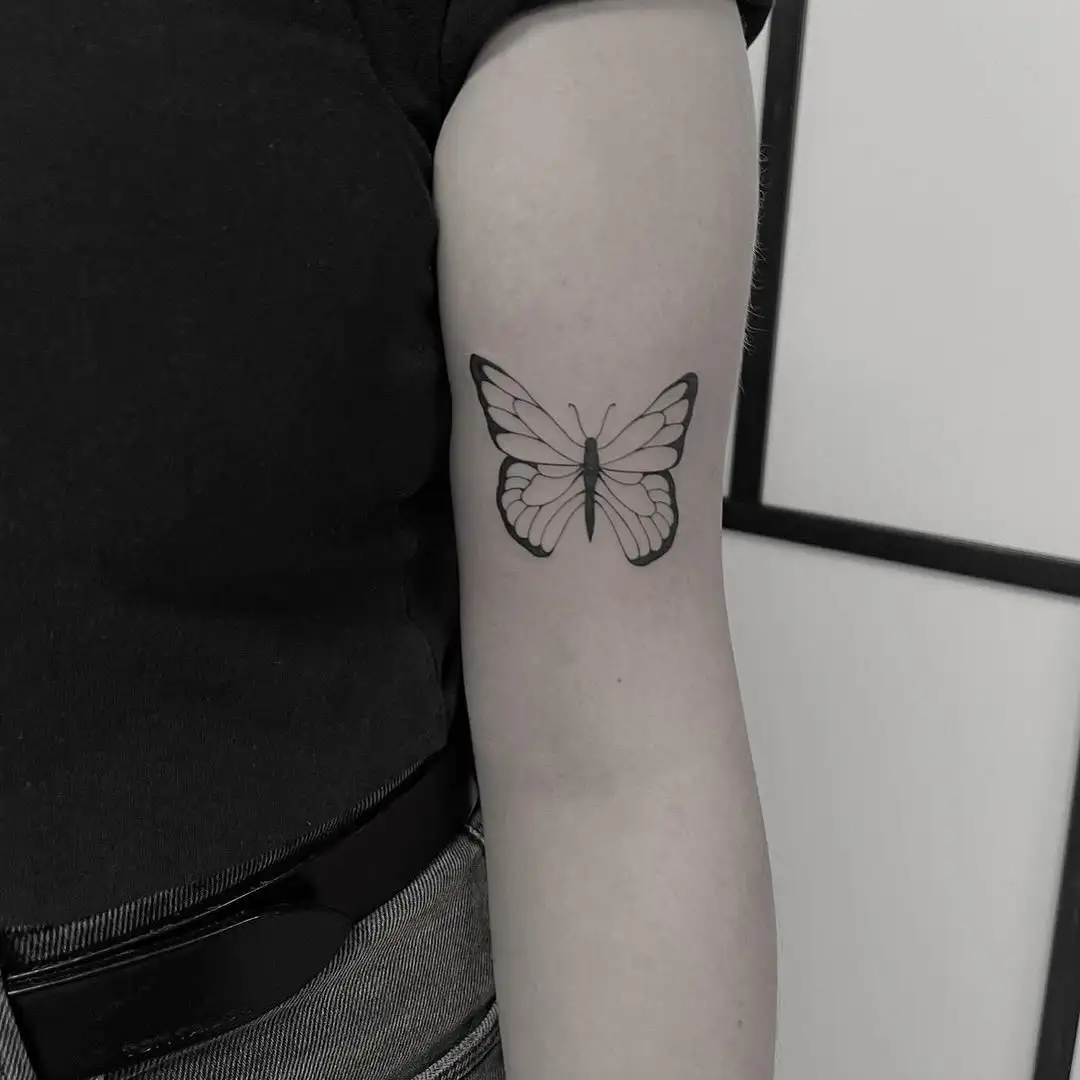 butterfly