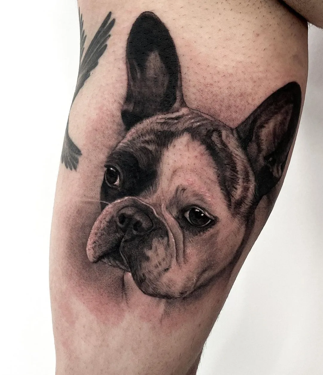 Realistic Tattoo – Ivory Tattoo Berlin