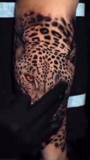 🧡Schreibt uns gerne eine Nachricht für euren Termin. Wir freuen uns auf euch 🍀

Ivory Tattoo Berlin
Florastraße 3
13187 Berlin
____________________________�
DM us for further Informations about 
Appointments

Ivory Tattoo Berlin
Florastraße 3
13187 Berlin

#tattooberlin#tattoostudioberlin#tattoostudioinberlin#realistictattoos#tattootattoostattookunsttattoodeutschlandtattooberlin